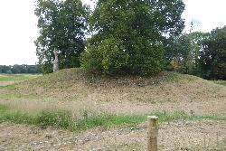 Kingsland Castle
